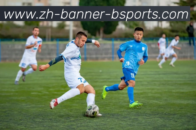 B体育平台生态图